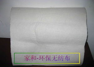 綠色智造 惠州麗新布與家和無紡布創新之路